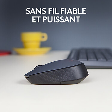 Souris PC