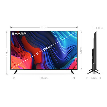 Buy Sharp 55FL1EA