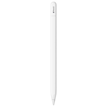 Apple Pencil (USB-C) (MUWA3ZM/A) · Occasion