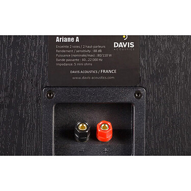 Davis Acoustics Ariane A Negro a bajo precio
