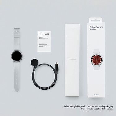 Samsung Galaxy Watch6 Classic BT (43 mm / Argento) economico