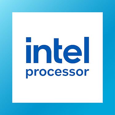 Processore Intel 300 (3,9 GHz)