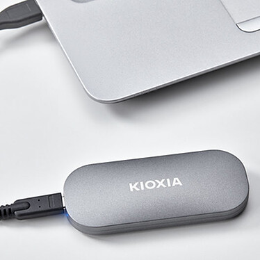 Buy KIOXIA EXCERIA PLUS 500 GB
