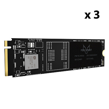 Fox Spirit PM18 M.2 2280 PCIE NVME 240 GB (x 3)