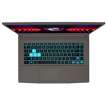 Avis MSI Thin 15 B13UCX-3018XFR