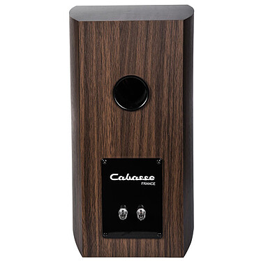 Buy Cambridge Audio EVO 75 + Cabasse Antigua MC170 Dark Oak