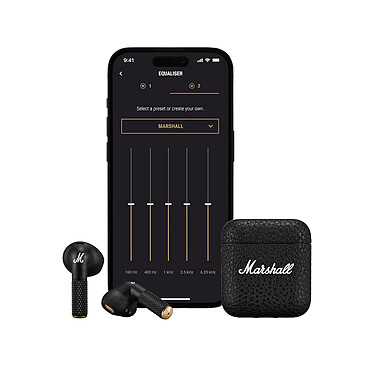 Marshall Minor IV. economico