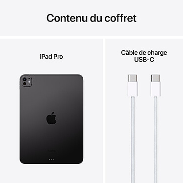 Acheter Apple iPad Pro M4 (2024) 11 pouces 2 To Wi-Fi Noir Sidéral