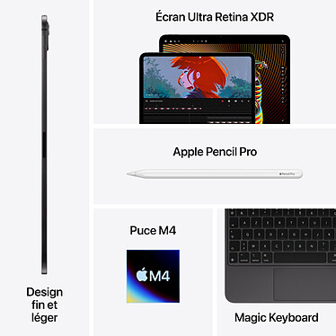 Avis Apple iPad Pro M4 (2024) 11 pouces 1 To Wi-Fi + Cellular Noir Sidéral (Nano Texture)