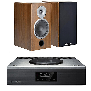 Technics SA-C600 Silver + Cabasse Antigua MT32 Walnut.