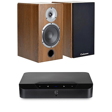 Bluesound Powernode Edge Noir + Cabasse Antigua MT32 Noyer