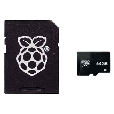 Raspberry 64GB micro-SD card with Noobs.