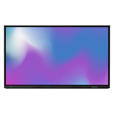 Promethean ActivPanel LX-65 