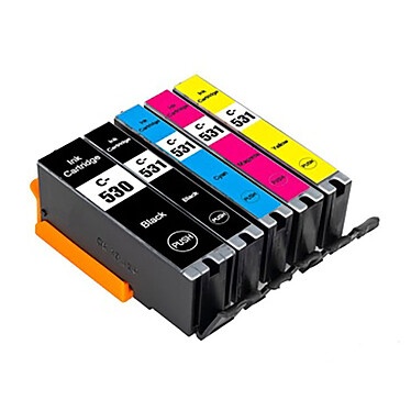 Pack of 5 PGI-530/CLI-531 BK/C/M/Y ink cartridges.