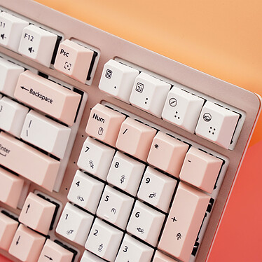 Avis The Keyboard House Maple Pro MX Brown (Rose)