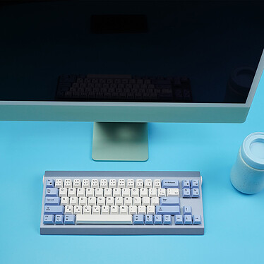 Avis The Keyboard House Gingko Pro MX Brown (Bleu)