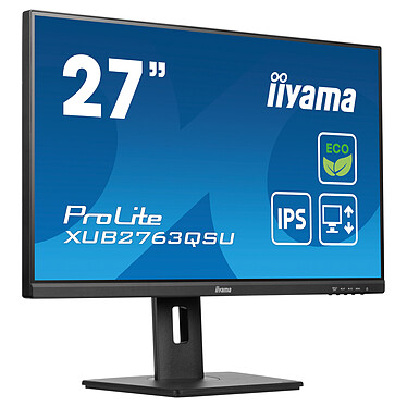 Monitor PC