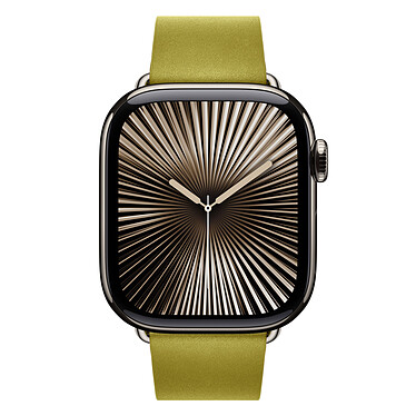 Nota Bracciale Apple Boucle Moderne Chartreuse 42 mm - L