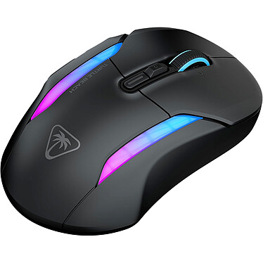 Souris PC