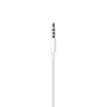 cheap Apple EarPods (mini-jack 3.5 mm).