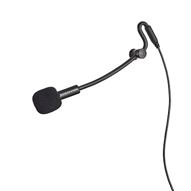 Microphone