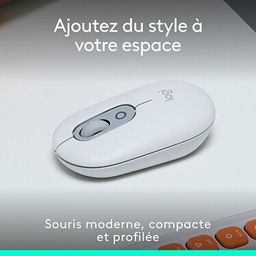 Souris PC