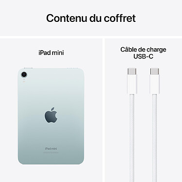 Apple iPad mini (2024) 128 Go Wi-Fi Bleu pas cher