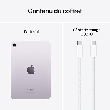 Apple iPad mini (2024) 512 Go Wi-Fi Mauve pas cher