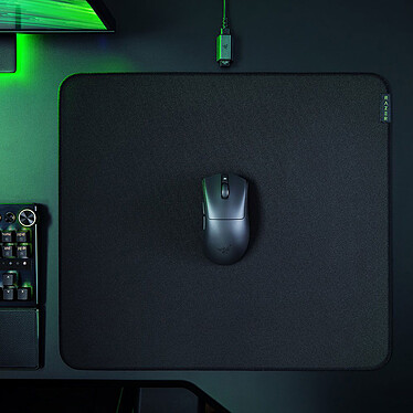 Avis Razer Deathadder v3 HyperSpeed