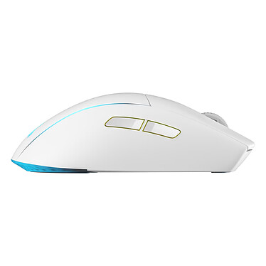 Souris PC