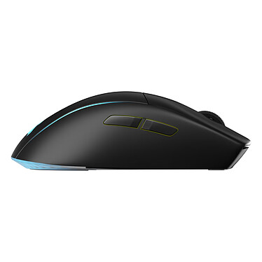 Souris PC