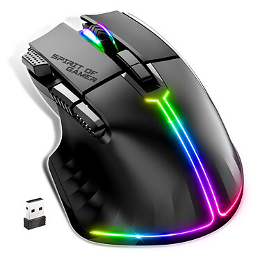 Souris PC