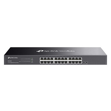 TP-LINK DS1024G