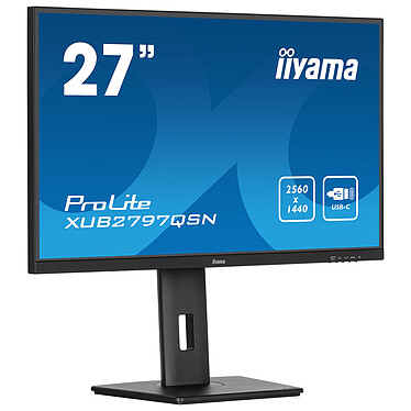 Monitor PC