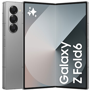 Samsung Galaxy Z Fold 6 Gris (12 Go / 1 To)