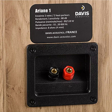 Davis Acoustics Ariane 1 Chêne clair pas cher