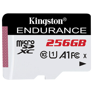 Kingston Endurance SDCE/256GB