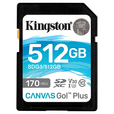 Kingston SD Plus Canvas Go! SDG3/512GB