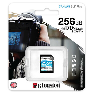 Avis Kingston SD Plus Canvas Go! SDG3/256GB