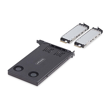 Acheter StarTech.com Double baie amovible pour 2 SSD M.2 NVMe vers PCIe x8