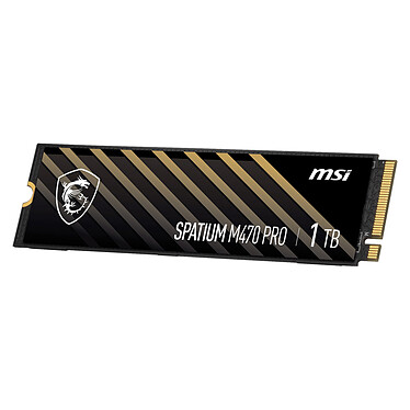 MSI Spatium M470 1 To pas cher