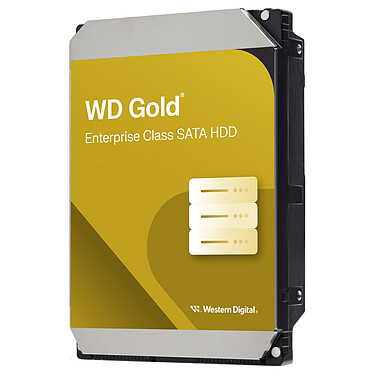 Western Digital WD Gold 6 To (WD6004FRYZ)