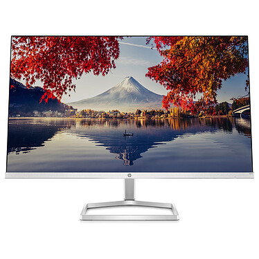 HP 23.8" LED - M24f