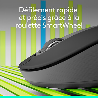 Souris PC