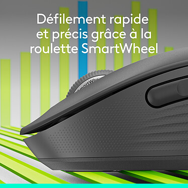 Souris PC