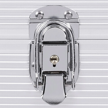 Acheter Hama Mallette LP 50, aspect alu/argent