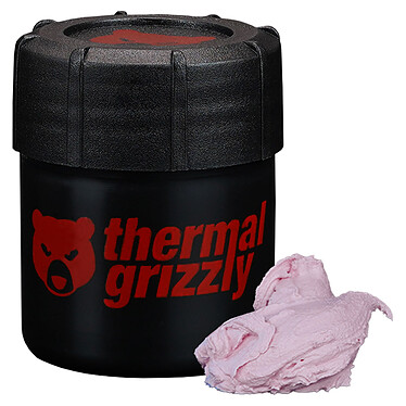 Acheter Thermal Grizzly Putty Basic (30 grammes)