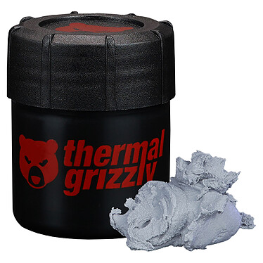 Acheter Thermal Grizzly Putty Pro (30 grammes)