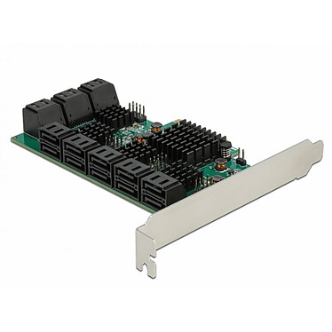 DeLock Carte Contrôleur PCI Express vers 16 ports SATA 6 Gbps