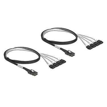 Acheter DeLock Carte Contrôleur PCI Express vers 8 ports SATA 6 Gbps avec câbles de connexion